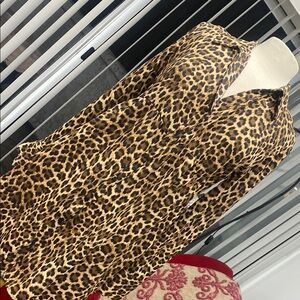 Zara Leopard Print Mini Dress